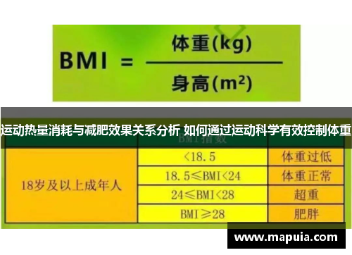运动热量消耗与减肥效果关系分析 如何通过运动科学有效控制体重