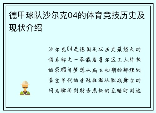 德甲球队沙尔克04的体育竞技历史及现状介绍